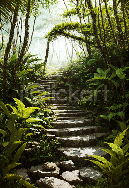 사람없음 JPG 편집이미지 계단 길 나무 숲 숲길 야외 이끼 자연 주간 초록색 풍경(경치)