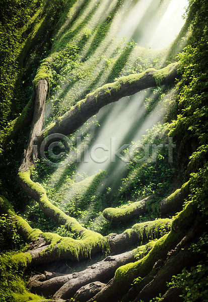 사람없음 JPG 편집이미지 나무 숲 숲길 야외 이끼 자연 주간 초록색 풍경(경치) 햇빛