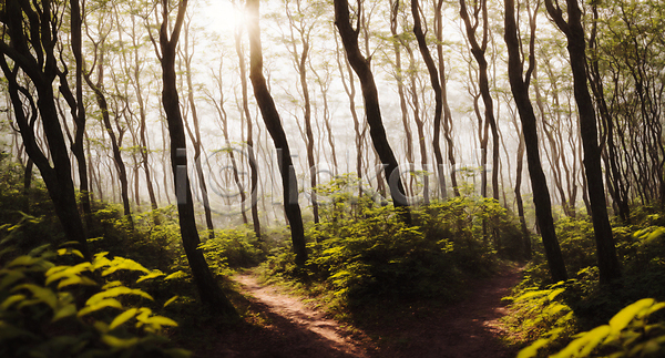 사람없음 JPG 디지털합성 편집이미지 숲 숲길 야외 잎 자연 주간 편집소스 풍경(경치) 햇빛