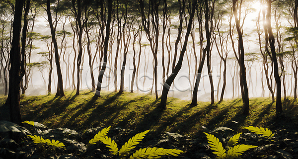사람없음 JPG 디지털합성 편집이미지 나무 숲 야외 잎 자연 주간 편집소스 풍경(경치) 햇빛