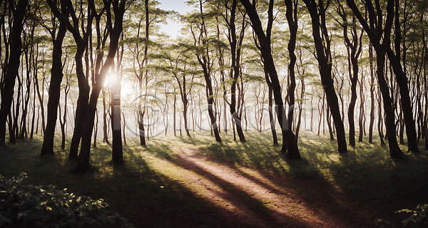 사람없음 JPG 디지털합성 편집이미지 숲 숲길 야외 자연 주간 초원(자연) 편집소스 풍경(경치) 햇빛