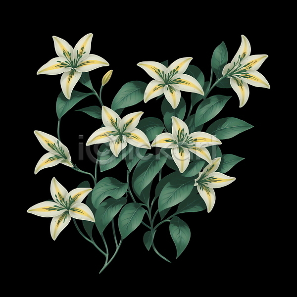 빈티지 사람없음 PSD 일러스트 꽃 백합(꽃) 복고 식물 오브제 잎 초록색 흰색