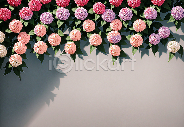 사람없음 JPG 디지털합성 편집이미지 그림자 꽃 나뭇잎 백그라운드 수국 카피스페이스 편집소스