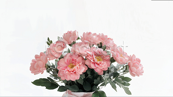 사람없음 JPG 디지털합성 편집이미지 결혼 결혼소품 꽃 꽃다발 부케 분홍색