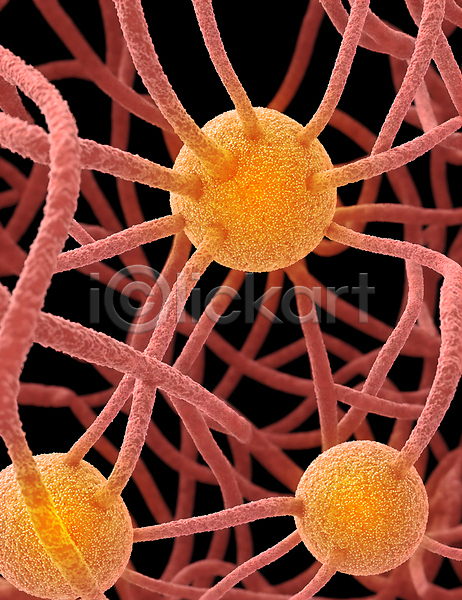 사람없음 JPG 디지털합성 편집이미지 그래픽 모양 미생물 바이러스 박테리아 세포 연결 원형 질병
