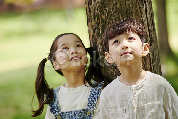 남자 두명 소녀(어린이) 소년 어린이 어린이만 여자 한국인 JPG 아웃포커스 앞모습 포토 공원 관찰 나무 미소(표정) 상반신 야외 여름(계절) 올려보기 자연 주간