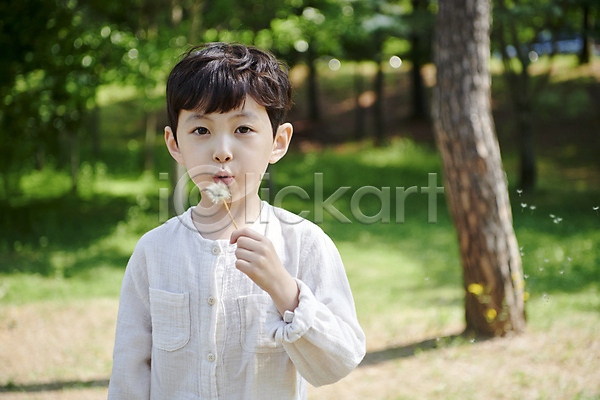 희망 남자 소년 소년한명만 어린이 한국인 한명 JPG 아웃포커스 앞모습 포토 공원 긍정 나무 동심 들기 민들레 민들레홀씨 바람불기 상반신 소원 야외 여름(계절) 자연 주간