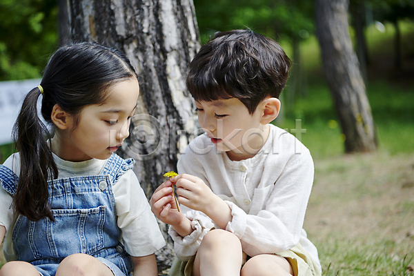 남자 두명 소녀(어린이) 소년 어린이 어린이만 여자 한국인 JPG 앞모습 포토 공원 관찰 나무 들기 민들레 상반신 앉기 야외 응시 자연 주간