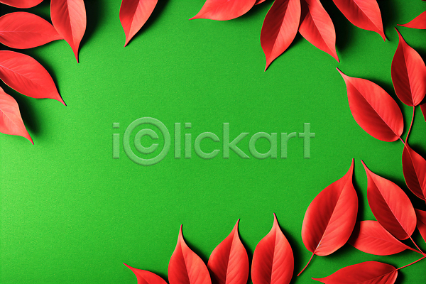 사람없음 3D JPG 디지털합성 편집이미지 나뭇잎 배너 빨간색 초록색 카피스페이스 편집 편집소스 프레임