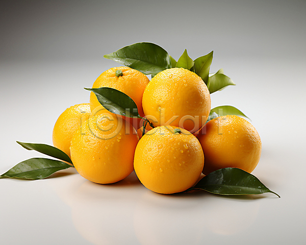 사람없음 JPG 편집이미지 과일 귤 물방울 수분 스튜디오촬영 여러개 오렌지 잎 주황색