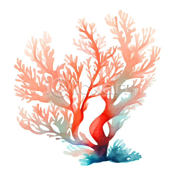 사람없음 JPG 일러스트 번짐 붓터치 빨간색 산호 손그림 수채화(물감) 자포동물