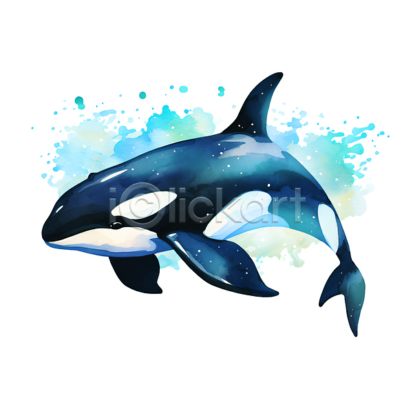 사람없음 JPG 일러스트 바다동물 번짐 범고래 붓터치 손그림 수채화(물감) 파란색 한마리