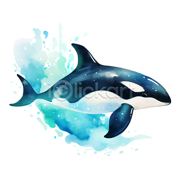 사람없음 JPG 일러스트 바다동물 번짐 범고래 붓터치 손그림 수채화(물감) 파란색 한마리