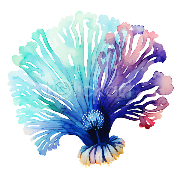 사람없음 JPG 일러스트 말미잘 바다동물 번짐 붓터치 손그림 수채화(물감) 파란색