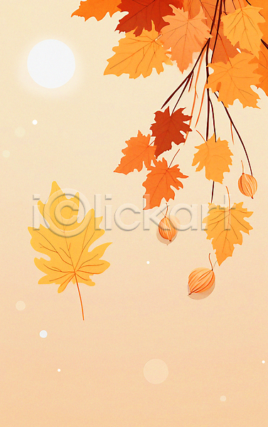 사람없음 JPG 일러스트 가을(계절) 가을배경 낙엽 단풍 밤(견과류) 일몰 주황색 카피스페이스 태양