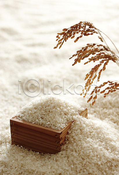 사람없음 JPG 포토 가득함 나무그릇 농작물 담기 되 벼 벼이삭 수확 식재료 쌀