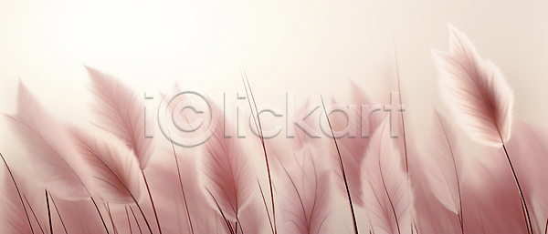 사람없음 JPG 편집이미지 가을(계절) 백그라운드 분홍색 자연 팜파스그라스 풍경(경치)