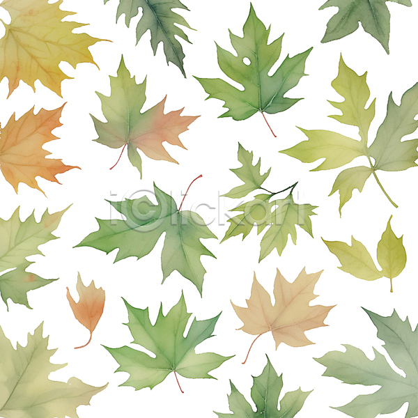 사람없음 AI(파일형식) 일러스트 나뭇잎 낙엽 단풍 번짐 붓터치 수채화(물감) 초록색