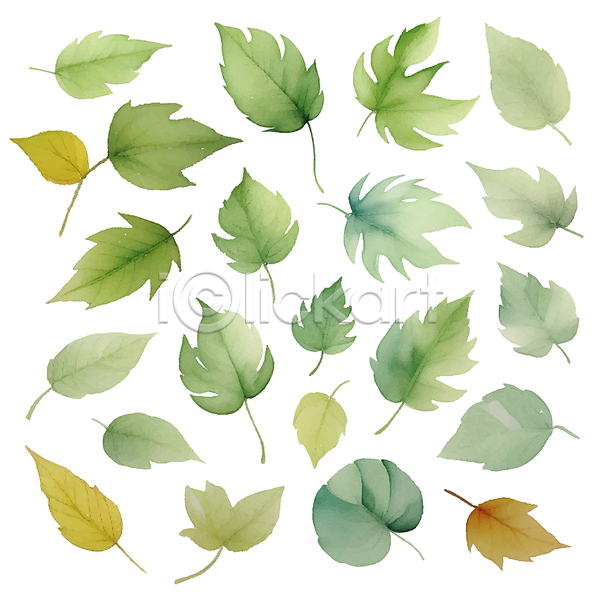 사람없음 AI(파일형식) 일러스트 나뭇잎 낙엽 번짐 붓터치 수채화(물감) 초록색