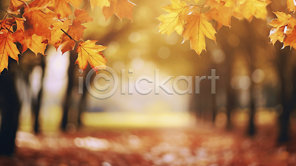 사람없음 JPG 편집이미지 가을(계절) 가을풍경 낙엽 단풍 단풍나무 백그라운드 블러 자연