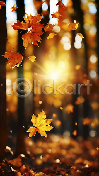 사람없음 JPG 편집이미지 가을(계절) 가을풍경 낙엽 단풍 단풍나무 백그라운드 블러 빛 자연