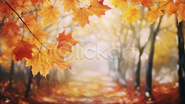 사람없음 JPG 편집이미지 가을(계절) 가을풍경 길 낙엽 단풍 단풍나무 백그라운드 블러 자연