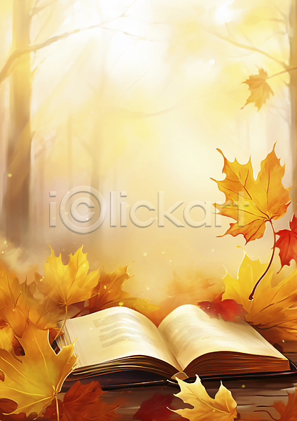 사람없음 JPG 편집이미지 가을(계절) 가을풍경 낙엽 단풍 반짝임 백그라운드 블러 자연 책