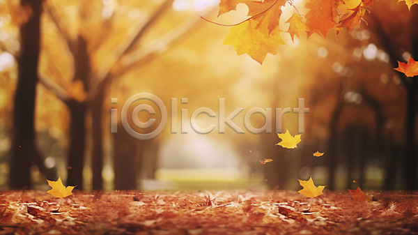 사람없음 JPG 편집이미지 가을(계절) 가을풍경 길 낙엽 단풍 단풍나무 땅 백그라운드 블러 자연