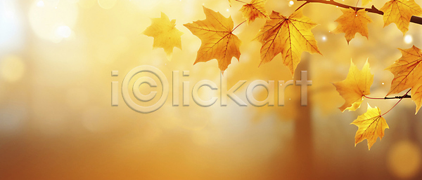 사람없음 JPG 편집이미지 가을(계절) 가을풍경 단풍 백그라운드 보케 블러 빛 자연