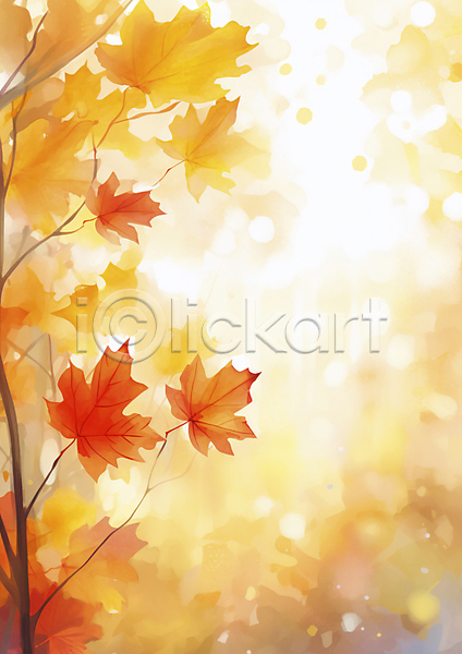 사람없음 JPG 편집이미지 가을(계절) 가을풍경 단풍 반짝임 백그라운드 블러 빛 자연