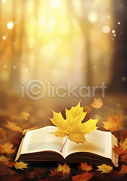 사람없음 JPG 편집이미지 가을(계절) 가을풍경 낙엽 단풍 반짝임 백그라운드 보케 블러 자연 책