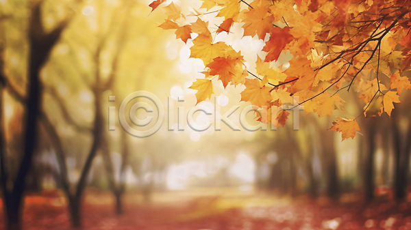 사람없음 JPG 편집이미지 가을(계절) 가을풍경 길 낙엽 단풍 단풍나무 반짝임 백그라운드 블러 빛 자연