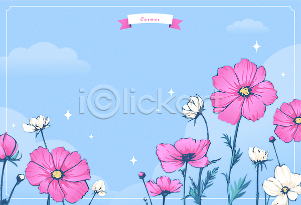 사람없음 AI(파일형식) 일러스트 가을(계절) 구름(자연) 꽃 반짝임 분홍색 오브젝트 코스모스(꽃) 파란색 프레임 하늘