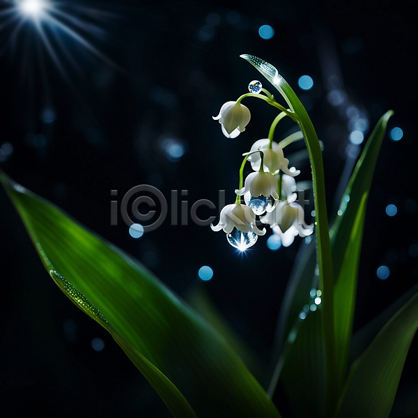 사람없음 JPG 편집이미지 물방울 반짝임 보케 빗방울 빛 빛망울 은방울꽃 자연 풀잎