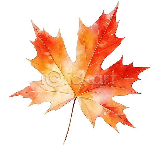 사람없음 JPG 일러스트 가을(계절) 낙엽 단풍 수채화(물감) 엘리먼트 오브젝트 잎 주황색