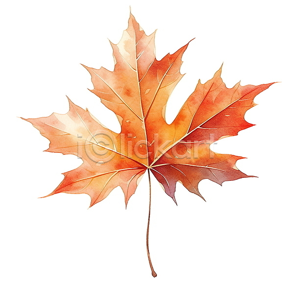 사람없음 JPG 일러스트 가을(계절) 낙엽 단풍 수채화(물감) 엘리먼트 오브젝트 잎 주황색