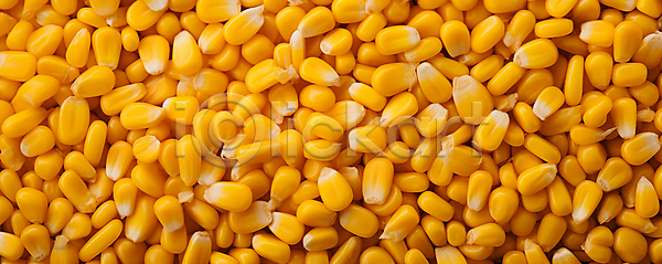 사람없음 JPG 근접촬영 편집이미지 가득함 노란색 옥수수 옥수수알
