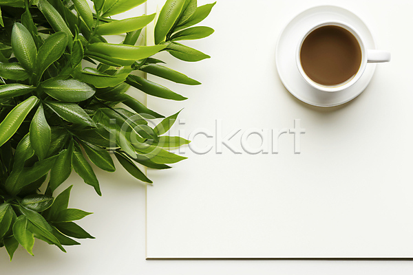 사람없음 JPG 편집이미지 백그라운드 비즈니스 식물 오브젝트 잎 종이 카피스페이스 커피잔 화분