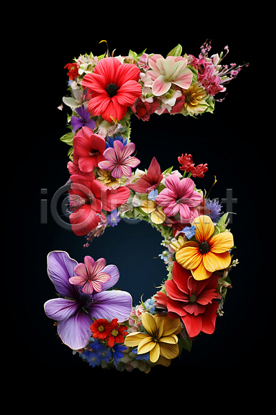 화려 사람없음 JPG 편집이미지 5 꽃 디자인 숫자 잎 컬러풀 타이포그라피 풀(식물)