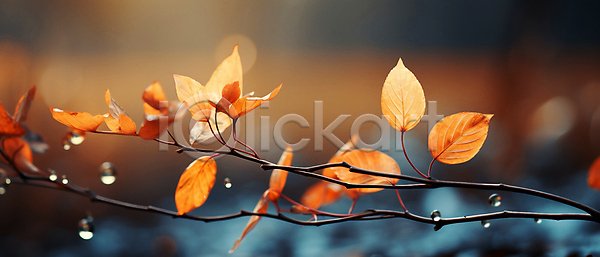 사람없음 JPG 아웃포커스 편집이미지 가을(계절) 가을배경 가을풍경 나뭇가지 나뭇잎 낙엽 물방울 백그라운드 보케 숲