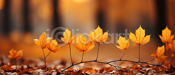 사람없음 JPG 아웃포커스 편집이미지 가을(계절) 가을배경 가을풍경 나뭇가지 나뭇잎 낙엽 백그라운드 숲