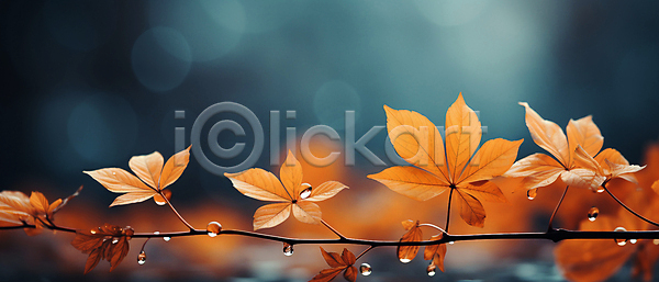 사람없음 JPG 아웃포커스 편집이미지 가을(계절) 가을배경 가을풍경 나뭇가지 나뭇잎 낙엽 물방울 백그라운드 숲