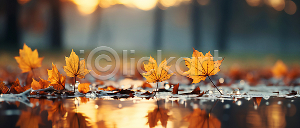 사람없음 JPG 아웃포커스 편집이미지 가을(계절) 가을배경 가을풍경 나뭇잎 낙엽 반사 백그라운드 숲 웅덩이