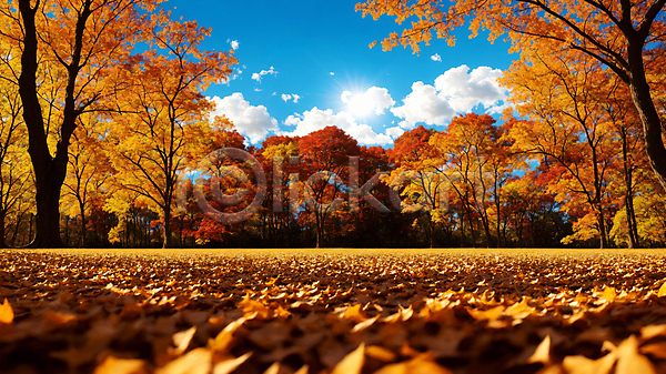 사람없음 JPG 편집이미지 가을(계절) 가을풍경 구름(자연) 낙엽 단풍 단풍나무 맑음 숲 자연 주간 풍경(경치) 하늘 햇빛