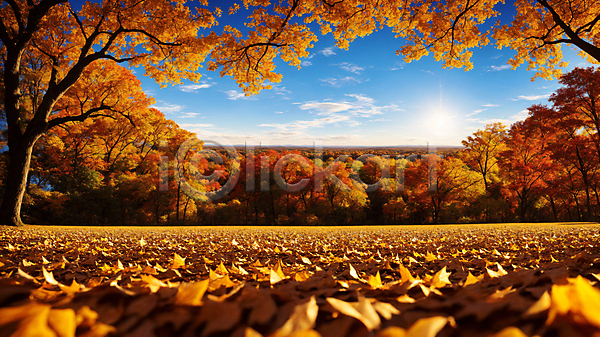 사람없음 JPG 편집이미지 가을(계절) 가을풍경 구름(자연) 낙엽 단풍 단풍나무 맑음 숲 자연 주간 풍경(경치) 하늘 햇빛