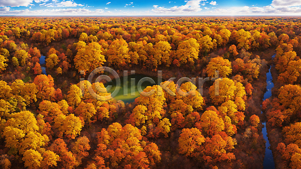 사람없음 JPG 편집이미지 가을(계절) 가을풍경 구름(자연) 낙엽 단풍 단풍나무 맑음 물길 숲 자연 주간 풍경(경치) 하늘