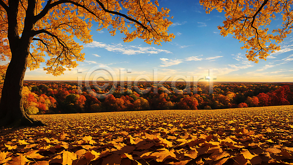 사람없음 JPG 편집이미지 가을(계절) 가을풍경 구름(자연) 낙엽 단풍 단풍나무 맑음 숲 일몰 자연 풍경(경치) 하늘 햇빛
