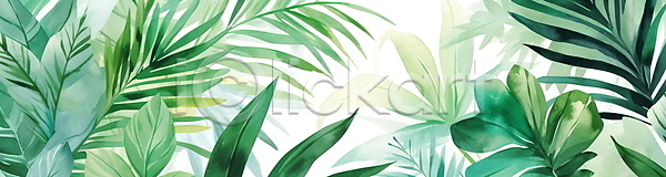 사람없음 JPG 일러스트 가로배너 보테니컬아트 수채화(물감) 열대 열대잎 자연 초록색 트로피컬아트 풀(식물)