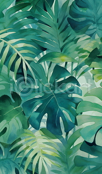 사람없음 JPG 일러스트 몬스테라 배너 백그라운드 보테니컬아트 수채화(물감) 열대 열대잎 자연 초록색 트로피컬아트