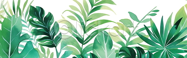 사람없음 JPG 일러스트 가로배너 백그라운드 보테니컬아트 수채화(물감) 열대 열대잎 자연 초록색 트로피컬아트